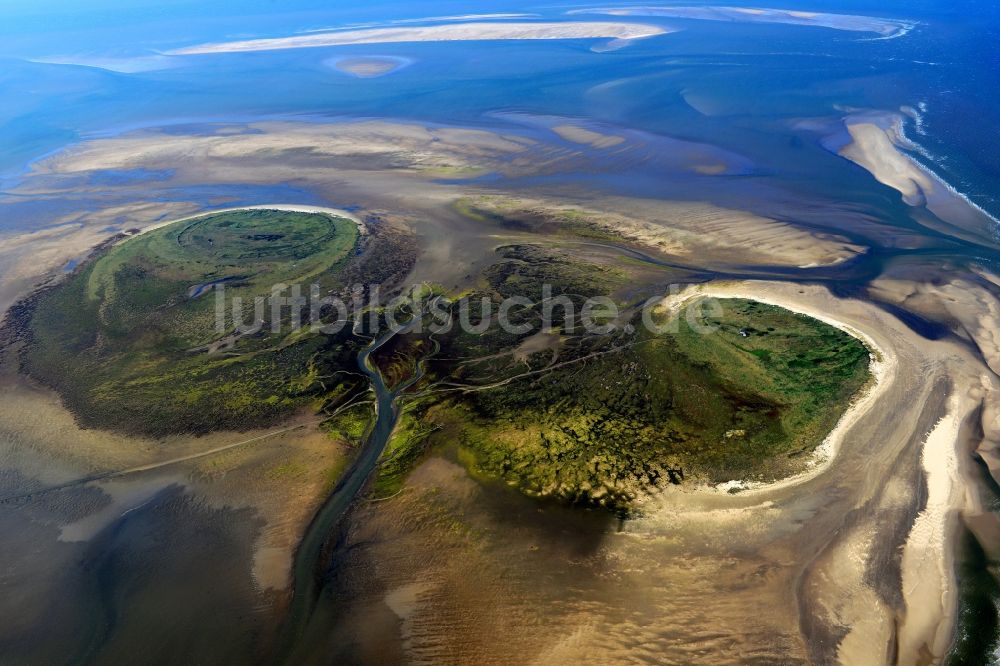 Luftbild Nigehörn - Küstenbereich des Naturschutz- Reservates und Vogelschutzgebietes - Insel in Nigehörn im Bundesland Hamburg