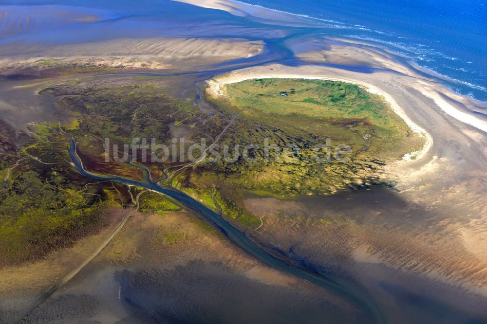 Luftbild Nigehörn - Küstenbereich des Naturschutz- Reservates und Vogelschutzgebietes - Insel in Nigehörn im Bundesland Hamburg