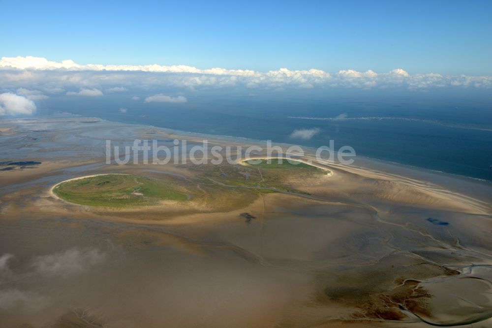 Nigehörn von oben - Küstenbereich des Naturschutz- Reservates und Vogelschutzgebietes - Insel in Nigehörn im Bundesland Hamburg