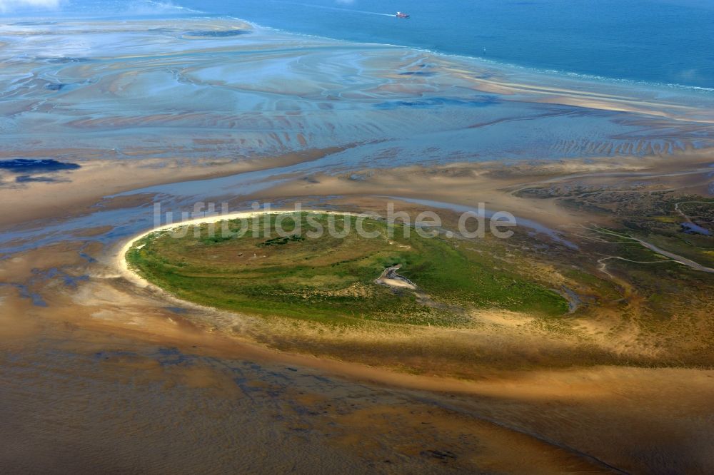 Nigehörn aus der Vogelperspektive: Küstenbereich des Naturschutz- Reservates und Vogelschutzgebietes - Insel in Nigehörn im Bundesland Hamburg