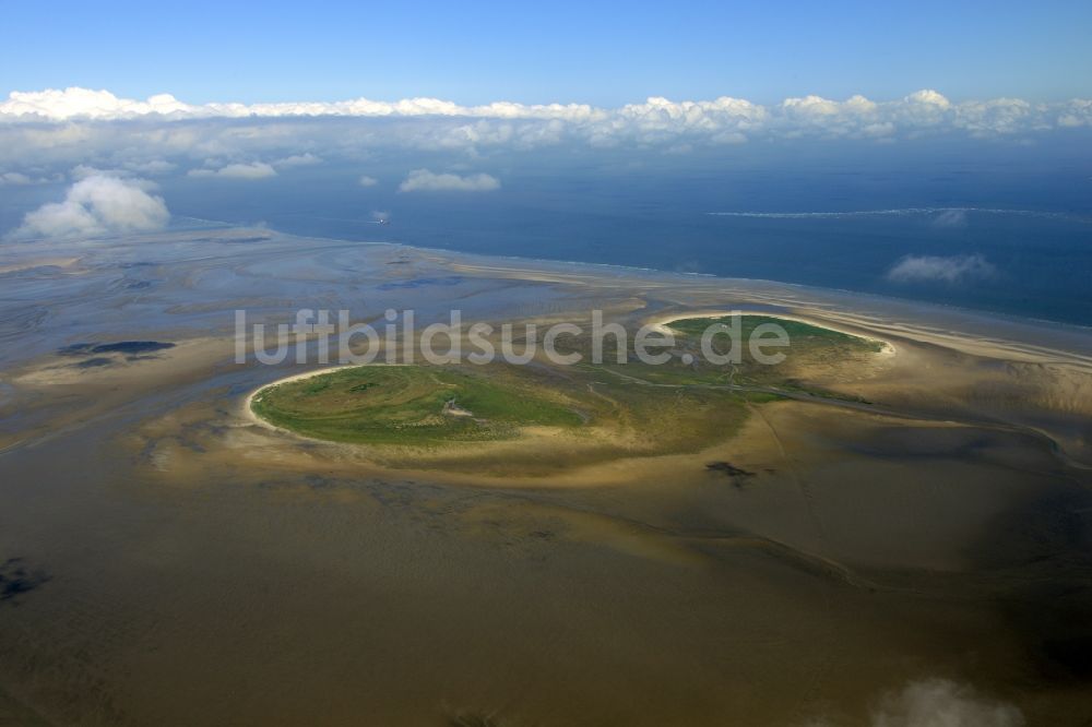 Luftbild Nigehörn - Küstenbereich des Naturschutz- Reservates und Vogelschutzgebietes - Insel in Nigehörn im Bundesland Hamburg