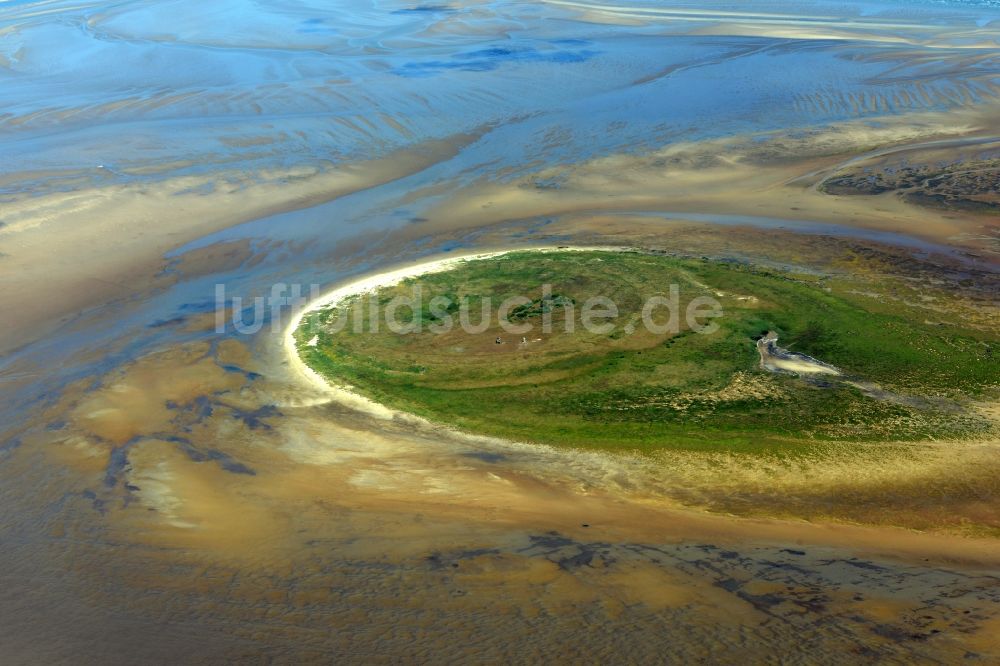 Nigehörn von oben - Küstenbereich des Naturschutz- Reservates und Vogelschutzgebietes - Insel in Nigehörn im Bundesland Hamburg