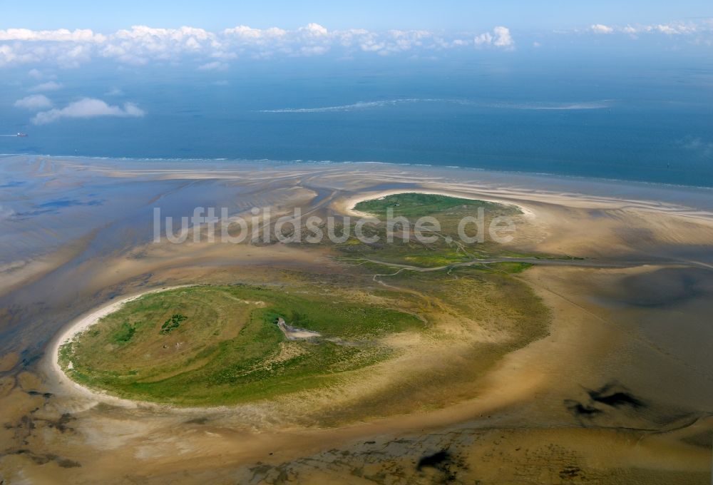 Nigehörn von oben - Küstenbereich des Naturschutz- Reservates und Vogelschutzgebietes - Insel in Nigehörn im Bundesland Hamburg