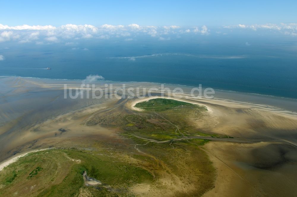 Nigehörn von oben - Küstenbereich des Naturschutz- Reservates und Vogelschutzgebietes - Insel in Nigehörn im Bundesland Hamburg