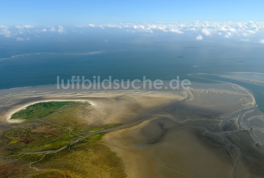 Nigehörn aus der Vogelperspektive: Küstenbereich des Naturschutz- Reservates und Vogelschutzgebietes - Insel in Nigehörn im Bundesland Hamburg