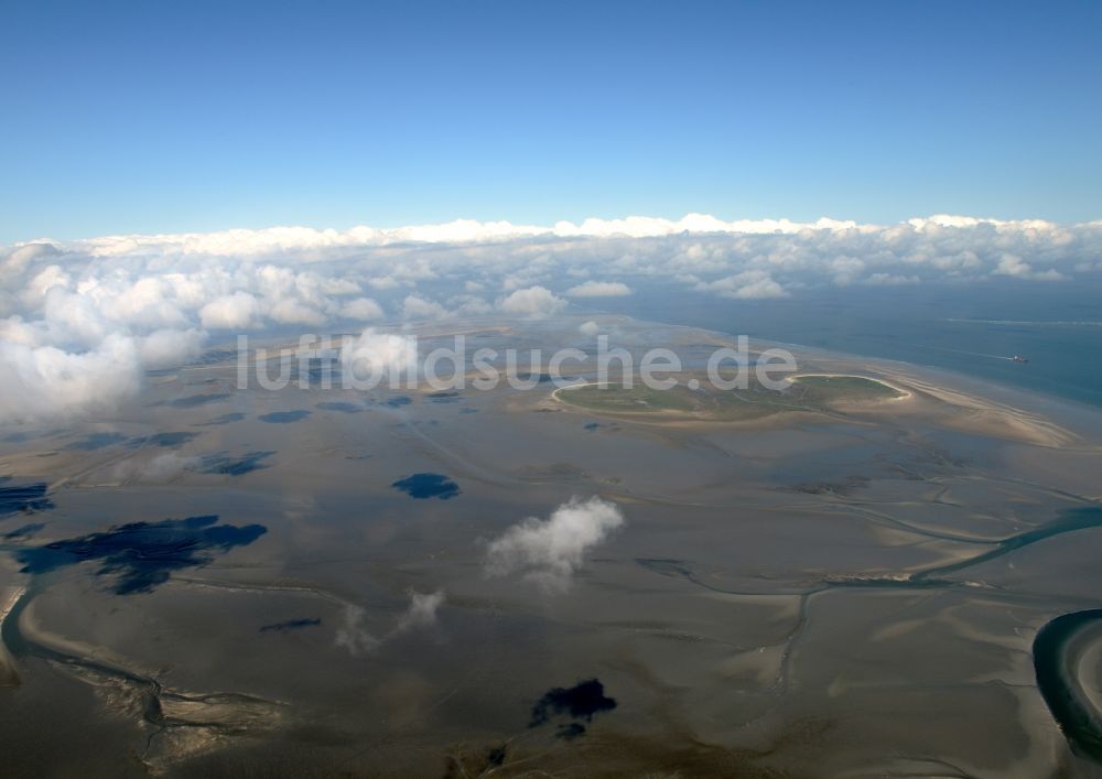 Luftbild Nigehörn - Küstenbereich des Naturschutz- Reservates und Vogelschutzgebietes - Insel in Nigehörn im Bundesland Hamburg