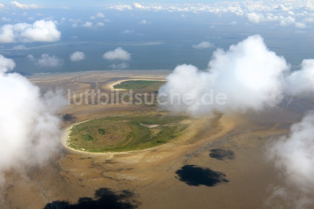 Nigehörn aus der Vogelperspektive: Küstenbereich des Naturschutz- Reservates und Vogelschutzgebietes - Insel in Nigehörn im Bundesland Hamburg