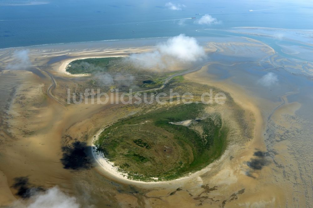 Luftbild Nigehörn - Küstenbereich des Naturschutz- Reservates und Vogelschutzgebietes - Insel in Nigehörn im Bundesland Hamburg