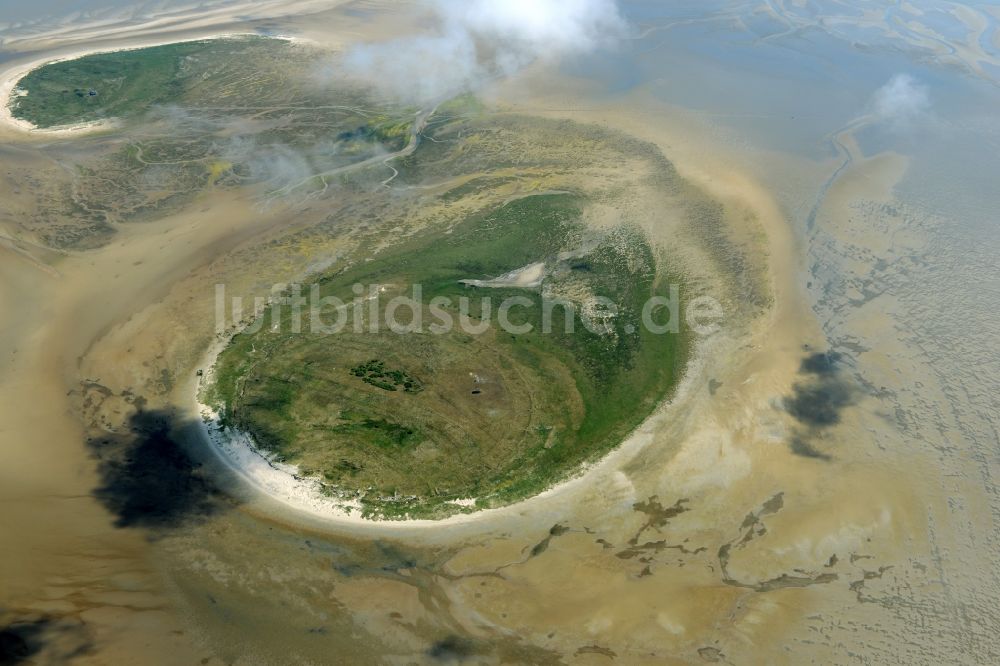 Luftaufnahme Nigehörn - Küstenbereich des Naturschutz- Reservates und Vogelschutzgebietes - Insel in Nigehörn im Bundesland Hamburg