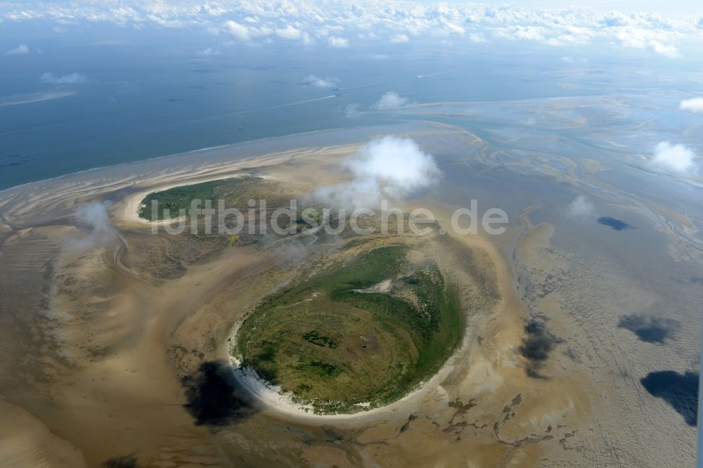 Nigehörn von oben - Küstenbereich des Naturschutz- Reservates und Vogelschutzgebietes - Insel in Nigehörn im Bundesland Hamburg