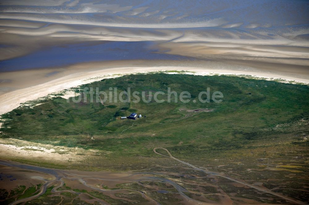 Luftaufnahme Nigehörn - Küstenbereich des Naturschutz- Reservates und Vogelschutzgebietes - Insel in Nigehörn im Bundesland Hamburg