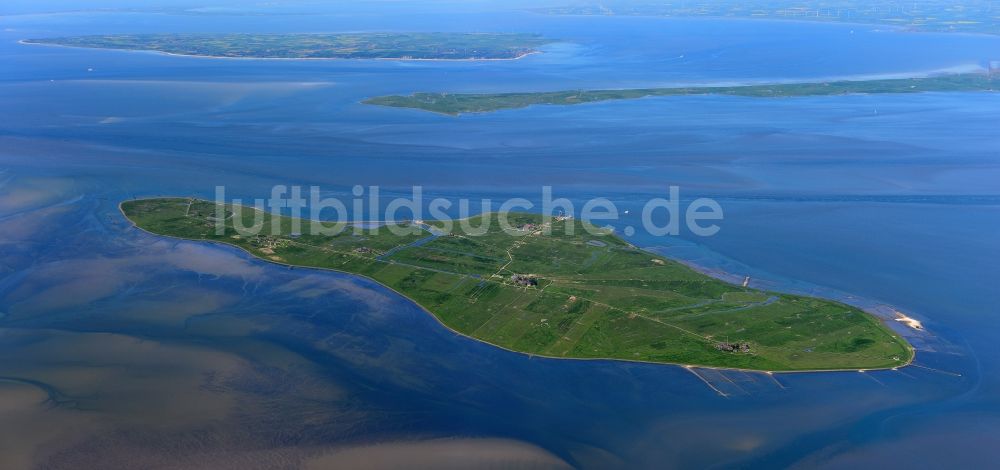 Luftaufnahme Hooge - Küstenbereich der Nordsee- Hallig - Insel in Hooge im Bundesland Schleswig-Holstein