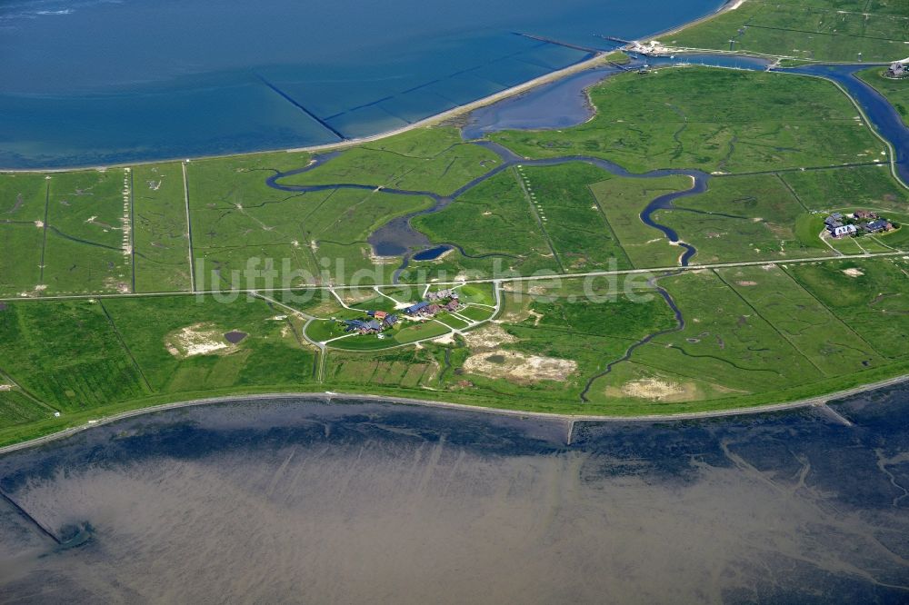 Luftbild Hooge - Küstenbereich der Nordsee- Hallig - Insel in Hooge im Bundesland Schleswig-Holstein