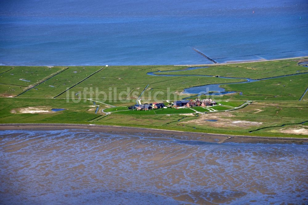 Luftbild Hooge - Küstenbereich der Nordsee- Hallig - Insel in Hooge im Bundesland Schleswig-Holstein