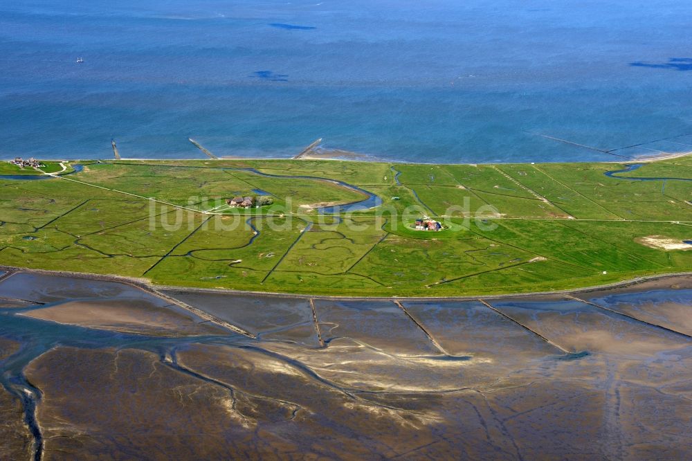 Luftaufnahme Hooge - Küstenbereich der Nordsee- Hallig - Insel in Hooge im Bundesland Schleswig-Holstein