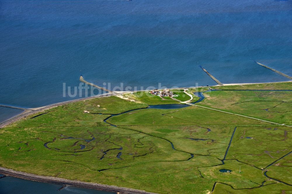 Hooge aus der Vogelperspektive: Küstenbereich der Nordsee- Hallig - Insel in Hooge im Bundesland Schleswig-Holstein