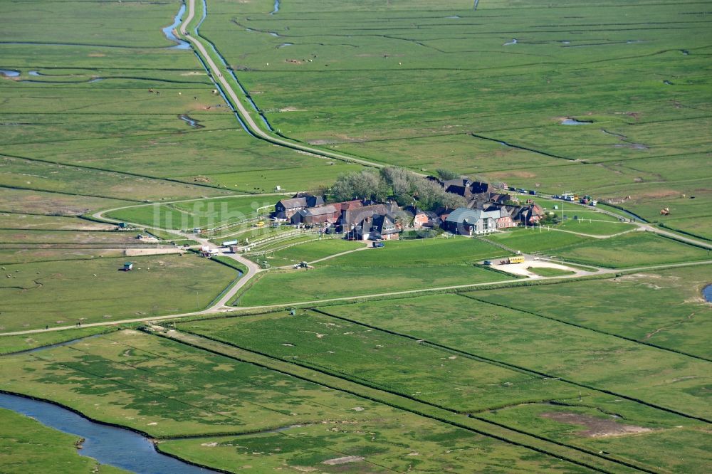 Luftaufnahme Hooge - Küstenbereich der Nordsee- Hallig - Insel in Hooge im Bundesland Schleswig-Holstein