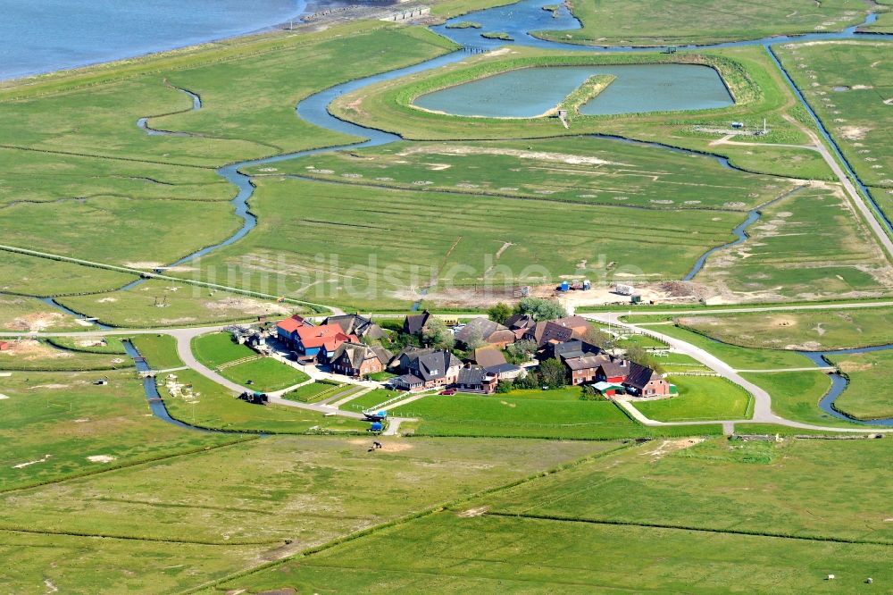 Hooge aus der Vogelperspektive: Küstenbereich der Nordsee- Hallig - Insel in Hooge im Bundesland Schleswig-Holstein