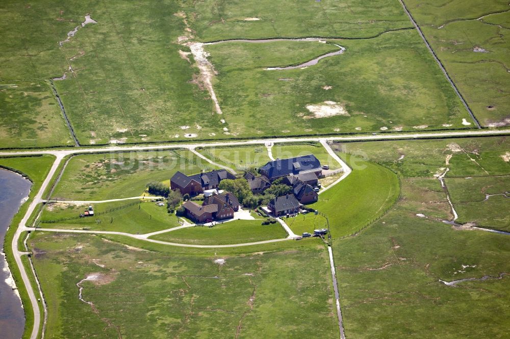 Hooge von oben - Küstenbereich der Nordsee- Hallig - Insel in Hooge im Bundesland Schleswig-Holstein