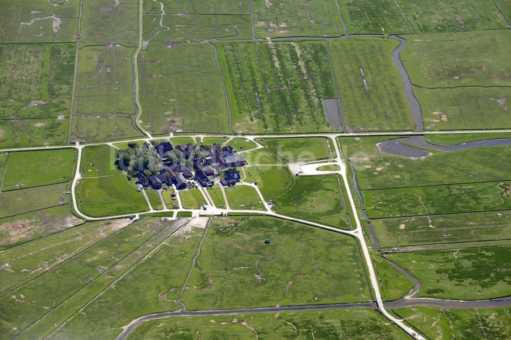 Hooge aus der Vogelperspektive: Küstenbereich der Nordsee- Hallig - Insel in Hooge im Bundesland Schleswig-Holstein