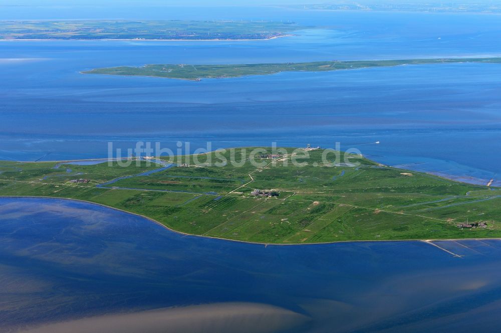 Luftaufnahme Hooge - Küstenbereich der Nordsee- Hallig - Insel in Hooge im Bundesland Schleswig-Holstein