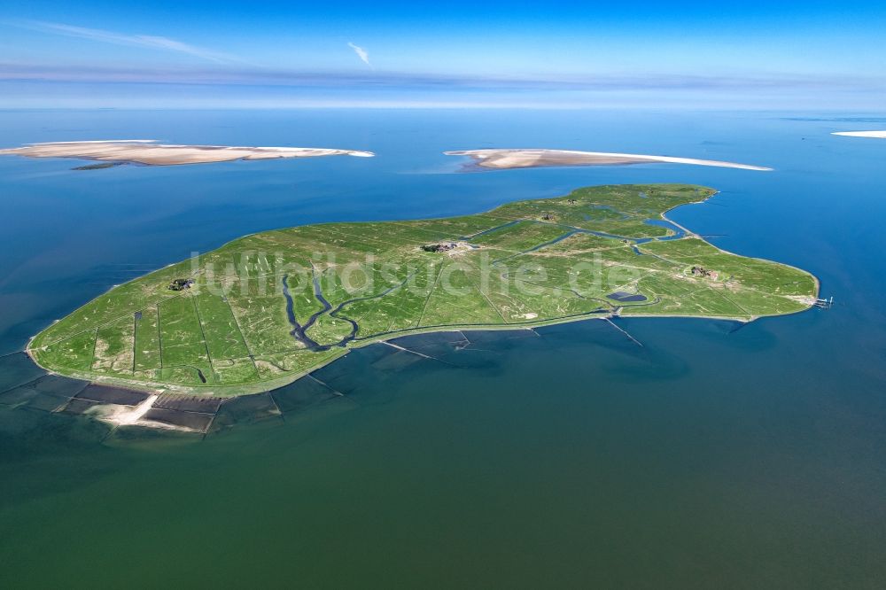 Luftbild Hooge - Küstenbereich der Nordsee- Hallig - Insel in Hooge im Bundesland Schleswig-Holstein