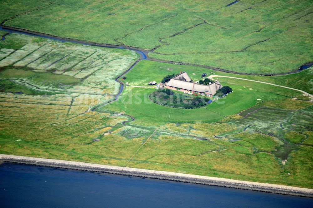 Pellworm von oben - Küstenbereich der Nordsee- Hallig Süderoog - Insel in Pellworm im Bundesland Schleswig-Holstein