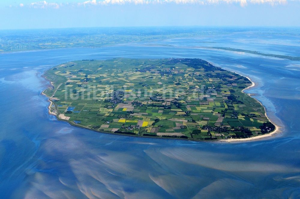 Föhr aus der Vogelperspektive: Küstenbereich der Nordsee - Insel in Föhr im Bundesland Schleswig-Holstein