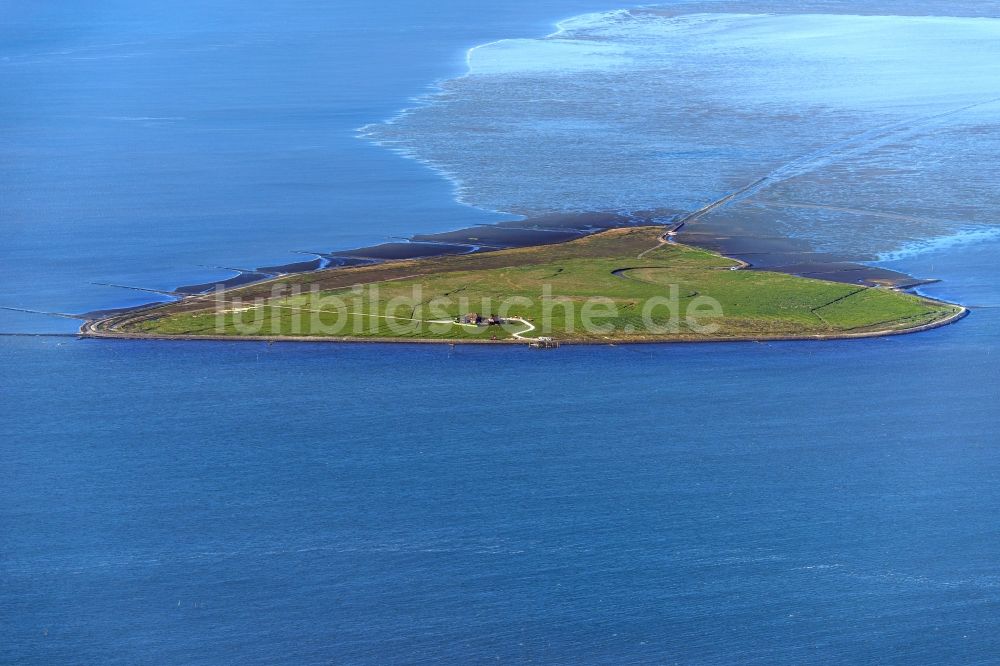 Luftaufnahme Hallig Südfall - Küstenbereich der Nordsee - Insel in Hallig Südfall im Bundesland Schleswig-Holstein, Deutschland