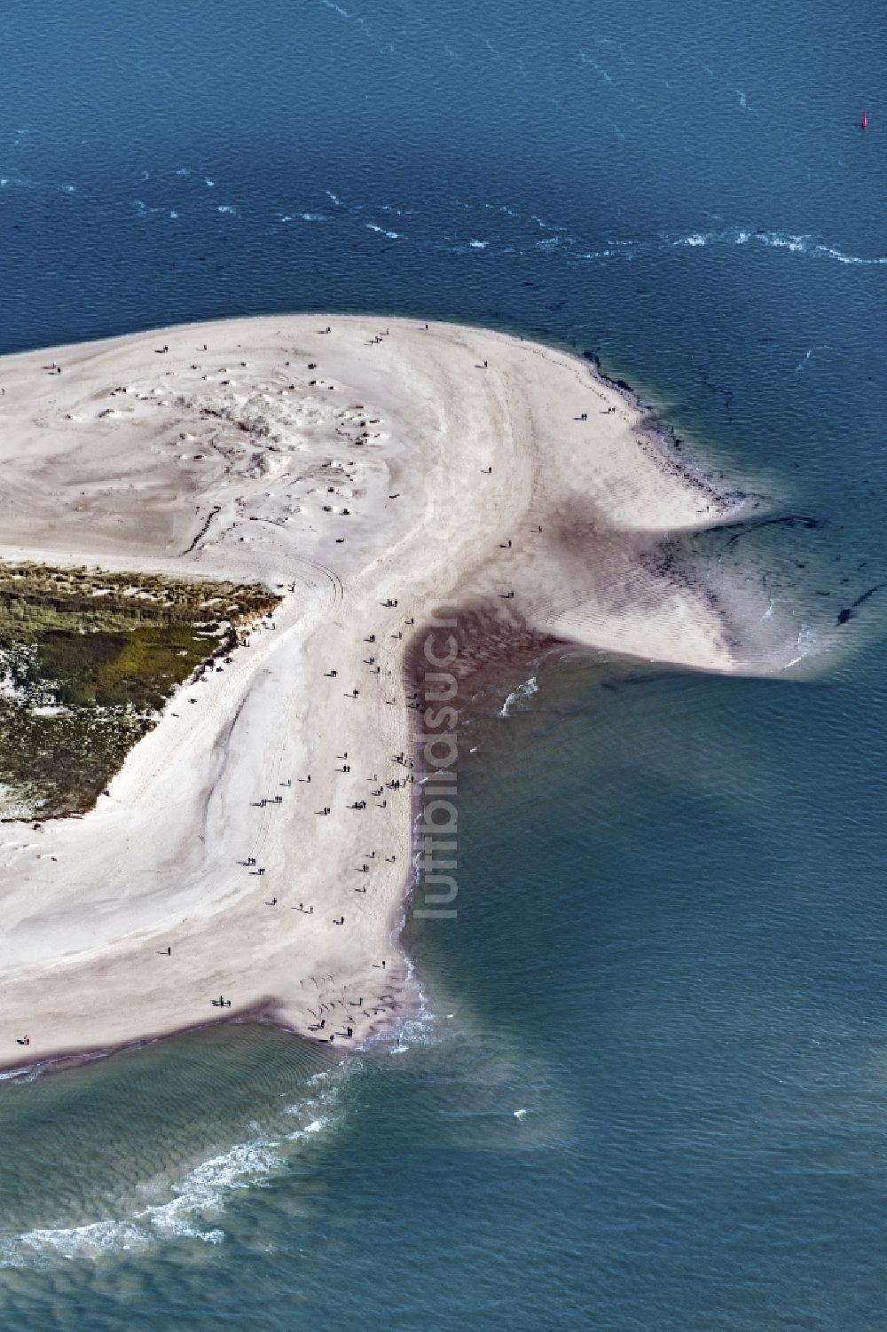 Hörnum (Sylt) von oben - Küstenbereich der Nordsee - Insel in Hörnum ( Sylt ) im Bundesland Schleswig-Holstein