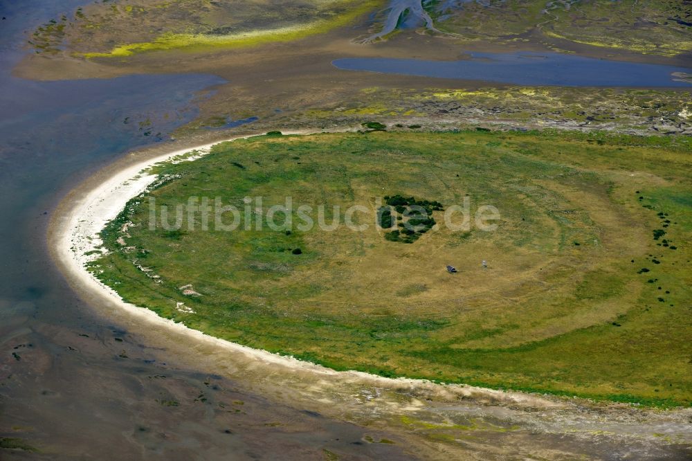 Luftaufnahme Nigehörn - Küstenbereich der Nordsee - Insel in Nigehörn im Bundesland Hamburg