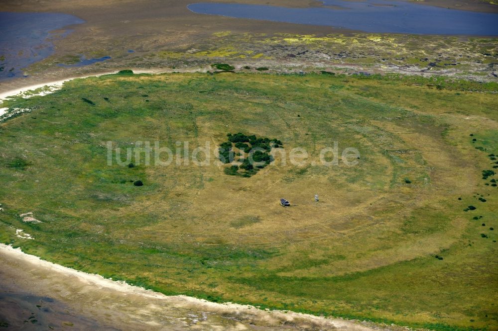 Luftbild Nigehörn - Küstenbereich der Nordsee - Insel in Nigehörn im Bundesland Hamburg