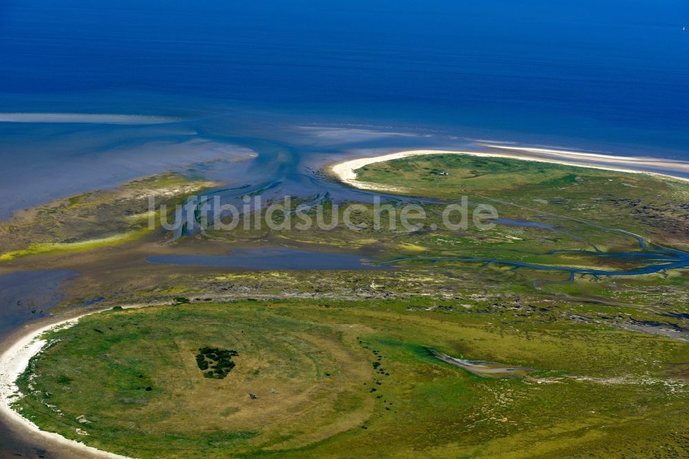 Nigehörn aus der Vogelperspektive: Küstenbereich der Nordsee - Insel in Nigehörn im Bundesland Hamburg