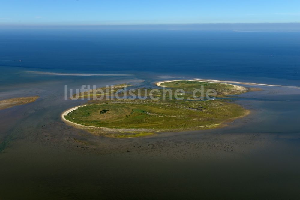 Nigehörn aus der Vogelperspektive: Küstenbereich der Nordsee - Insel in Nigehörn im Bundesland Hamburg