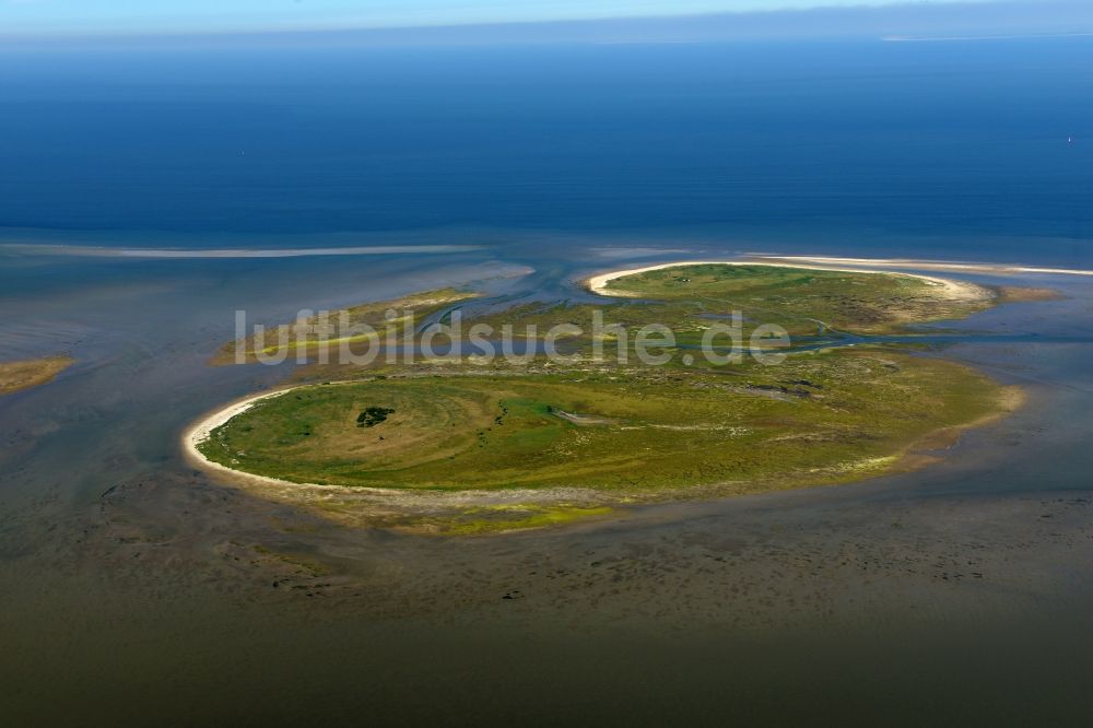 Luftbild Nigehörn - Küstenbereich der Nordsee - Insel in Nigehörn im Bundesland Hamburg