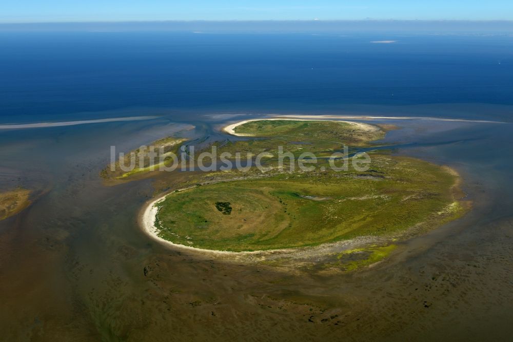 Luftaufnahme Nigehörn - Küstenbereich der Nordsee - Insel in Nigehörn im Bundesland Hamburg