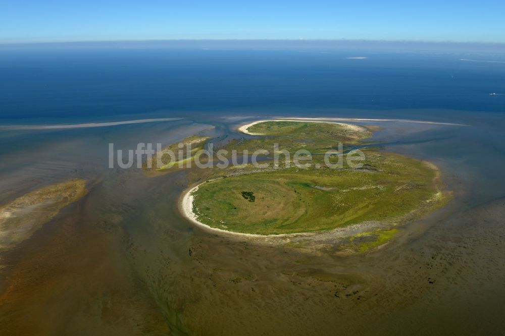 Nigehörn von oben - Küstenbereich der Nordsee - Insel in Nigehörn im Bundesland Hamburg