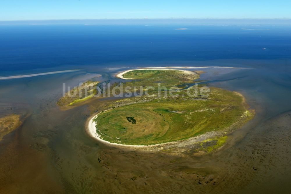 Nigehörn aus der Vogelperspektive: Küstenbereich der Nordsee - Insel in Nigehörn im Bundesland Hamburg