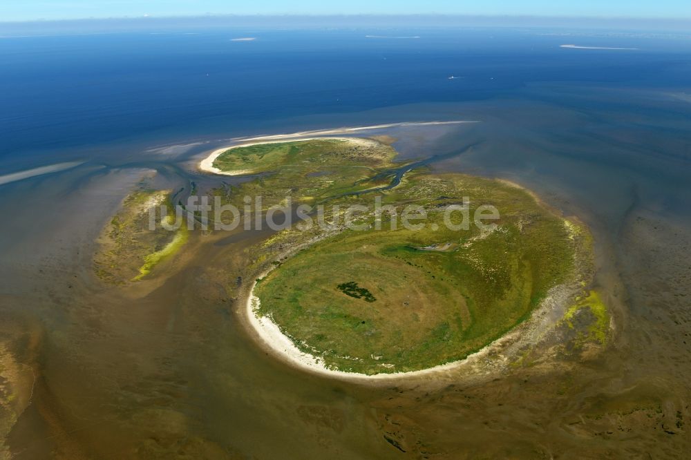 Luftbild Nigehörn - Küstenbereich der Nordsee - Insel in Nigehörn im Bundesland Hamburg