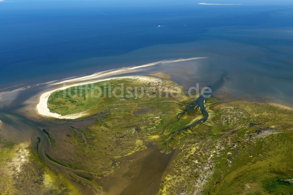 Nigehörn von oben - Küstenbereich der Nordsee - Insel in Nigehörn im Bundesland Hamburg