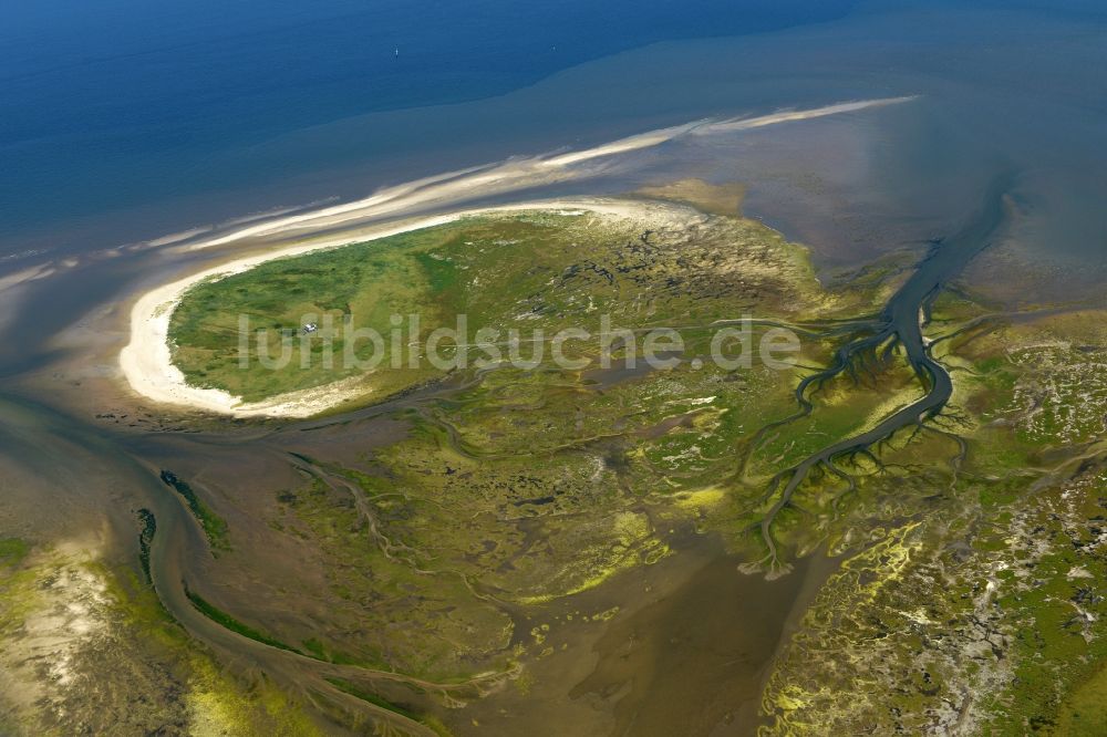 Nigehörn aus der Vogelperspektive: Küstenbereich der Nordsee - Insel in Nigehörn im Bundesland Hamburg