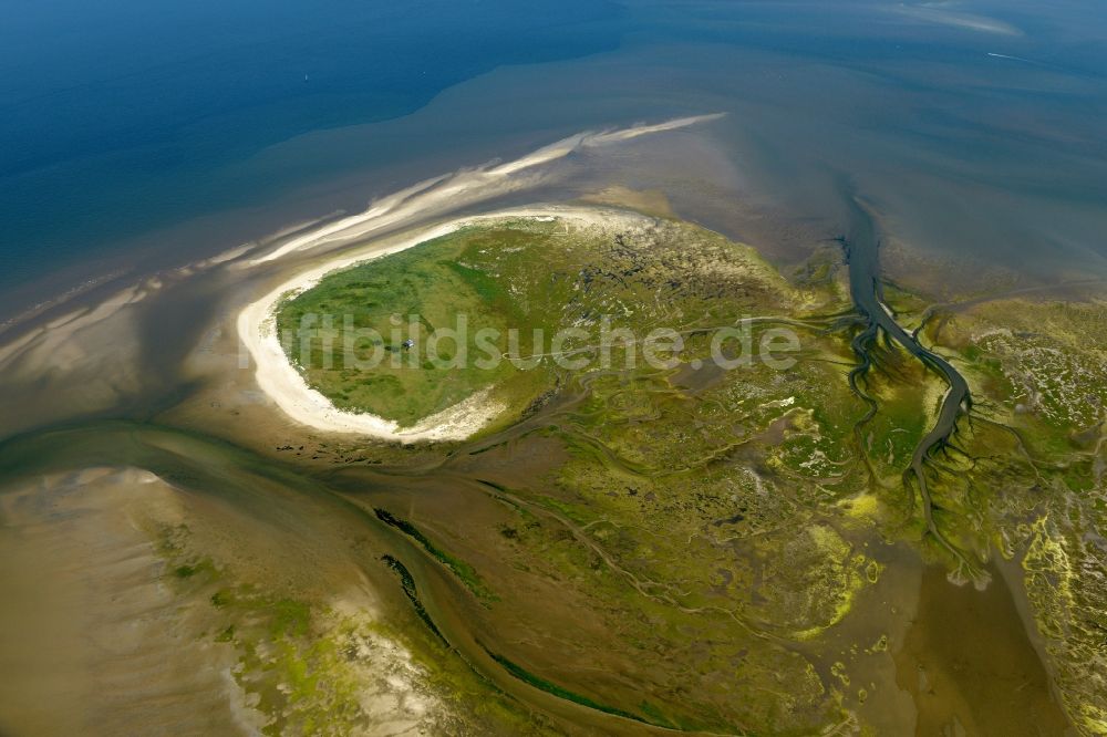 Luftbild Nigehörn - Küstenbereich der Nordsee - Insel in Nigehörn im Bundesland Hamburg