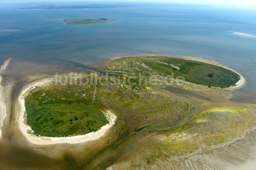 Nigehörn von oben - Küstenbereich der Nordsee - Insel in Nigehörn im Bundesland Hamburg