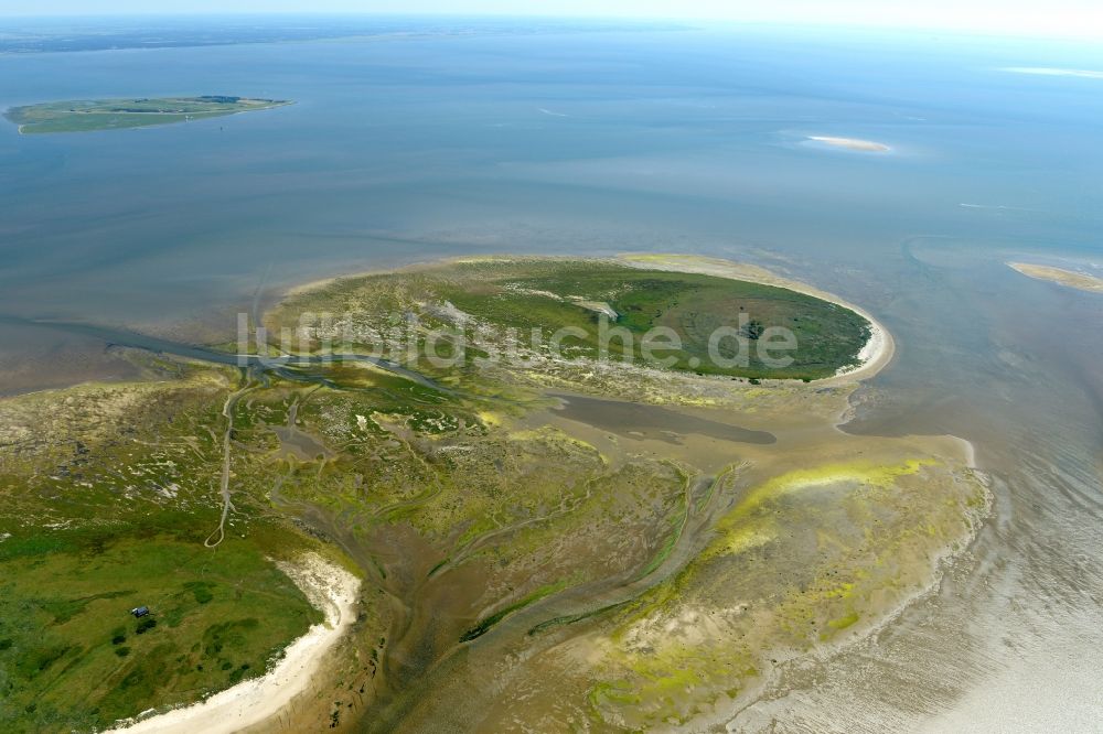 Nigehörn aus der Vogelperspektive: Küstenbereich der Nordsee - Insel in Nigehörn im Bundesland Hamburg