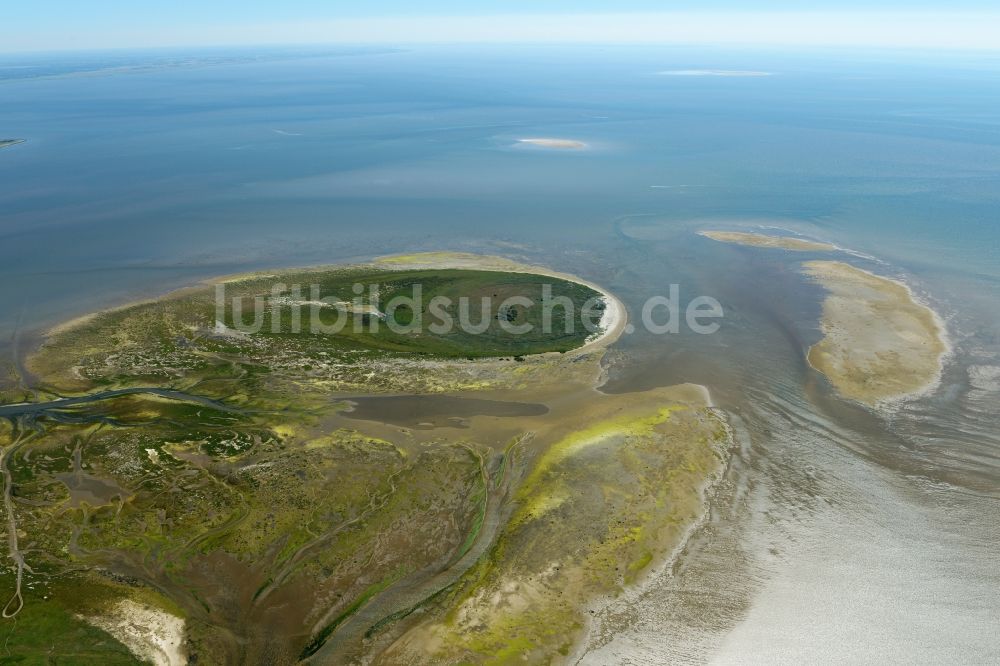 Luftbild Nigehörn - Küstenbereich der Nordsee - Insel in Nigehörn im Bundesland Hamburg