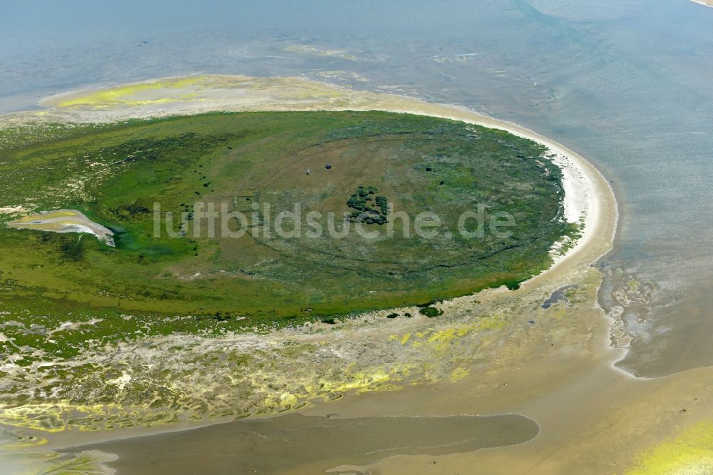 Luftaufnahme Nigehörn - Küstenbereich der Nordsee - Insel in Nigehörn im Bundesland Hamburg