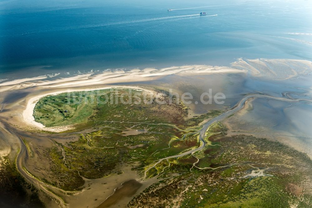 Nigehörn aus der Vogelperspektive: Küstenbereich der Nordsee - Insel in Nigehörn im Bundesland Hamburg