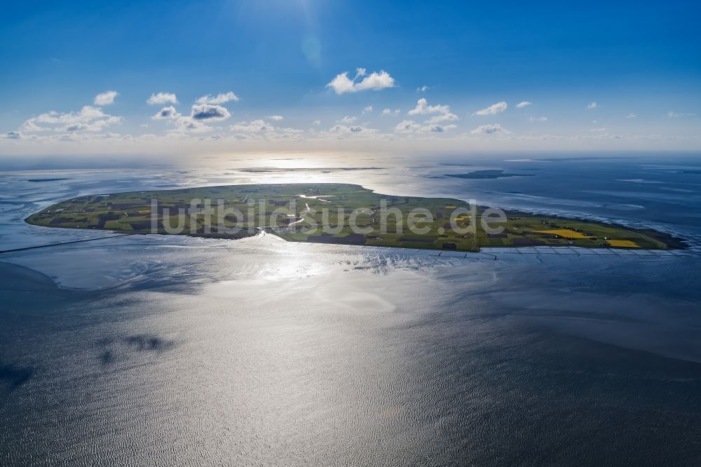 Luftaufnahme Pellworm - Küstenbereich der Nordsee - Insel in Pellworm mit Gegenlicht im Bundesland Schleswig-Holstein