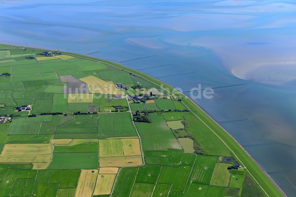 Luftaufnahme Pellworm - Küstenbereich der Nordsee - Insel in Pellworm im Bundesland Schleswig-Holstein