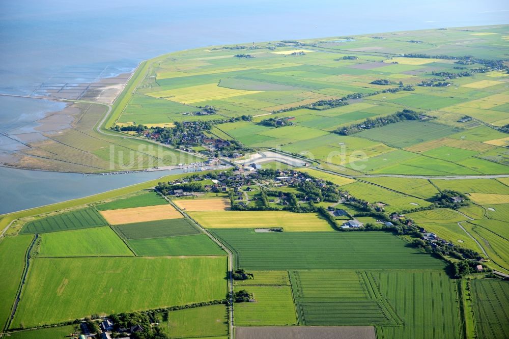 Pellworm von oben - Küstenbereich der Nordsee - Insel in Pellworm im Bundesland Schleswig-Holstein